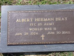 Albert Herman Bray 