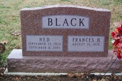 Ned Black 