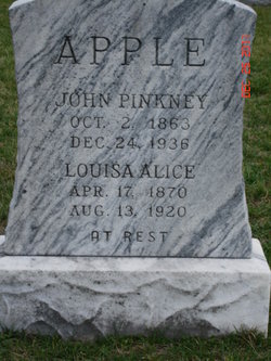 John Pinkney Apple 