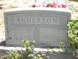 Luvernia <I>Hall</I> Anderson 