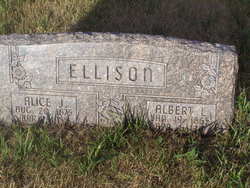 Albert L Ellison 