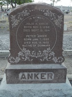 Peter Hanson Anker 