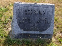 Henry Andrews 