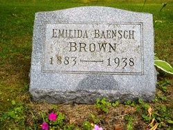 Emilida H <I>Baensch</I> Brown 