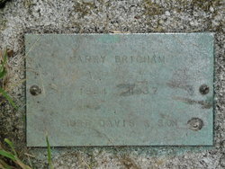 Harry Berigham 