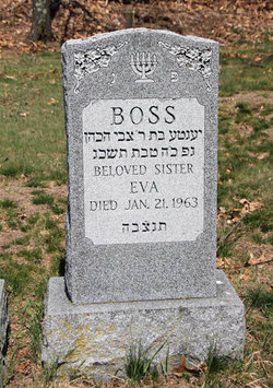 Eva Boss 