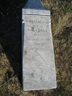 William P.G. Gallogly 