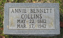Louanna “Annie” <I>Bennett</I> Collins 