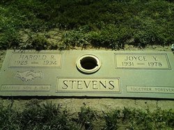 Joyce Y Stevens 