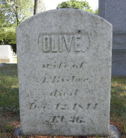Olive <I>Gurney</I> Bisbee 