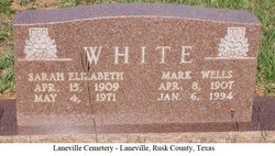 Sarah Elizabeth <I>Wells</I> White 