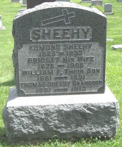 Edmond Sheehy 