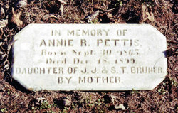 Annie R <I>Bruner</I> Pettis 