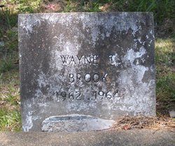 Wayne T. Brook 
