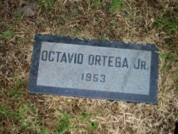Octavio Ortega Jr.