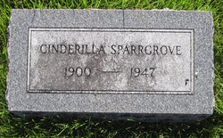 Cinderilla <I>Hawkins</I> Sparrowgrove 