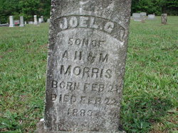 Joel G Morris 