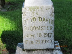 Otto David Bloomster 