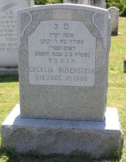 Cecelia Rosenstein 