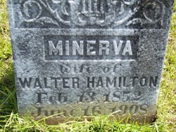 Minerva <I>Pounders</I> Hamilton 