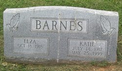Katie E Barnes 
