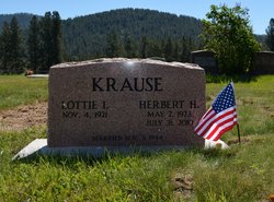 Herbert Henry Krause 