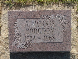 Albert Morris Hodgdon 