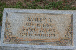 Barley Burl Brown 