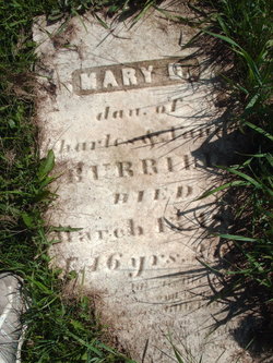 Mary C Burrill 