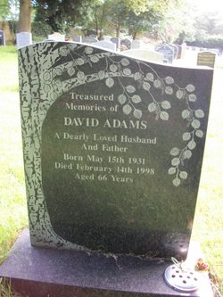 David Adams 