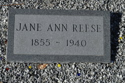 Jane Ann <I>Wilkes</I> Reese 