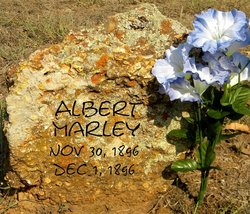 Albert Marley 