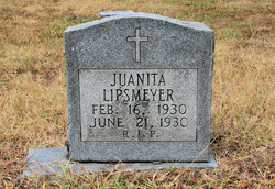 Juanita Lipsmeyer 