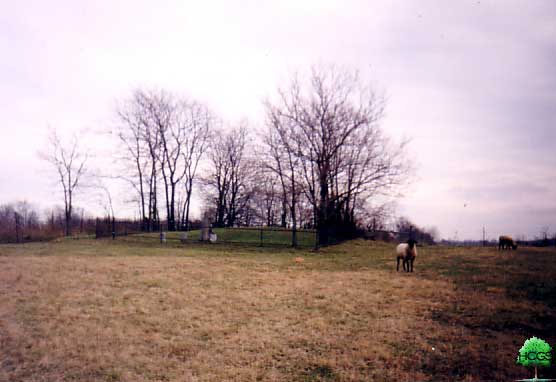 Wimmer-Pickens Cemetery