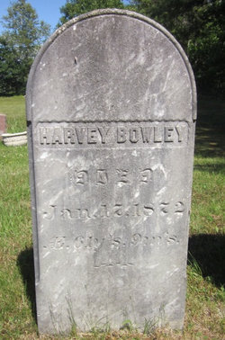 Harvey Bowley 