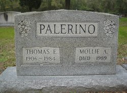 Thomas E Palerino 