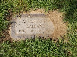 A Sophrona Galland 