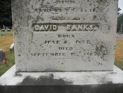 David Banks 