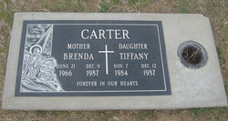 Brenda Carter 