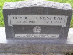 Dr Oliver Lee Jenkins 