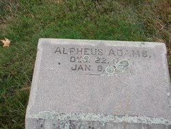 Alpheus Adams 