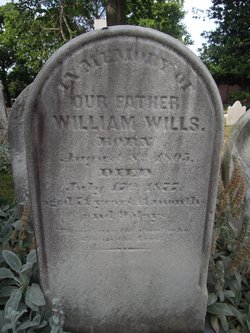 William Wills 