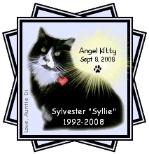 Sylvester Bachman “Syllie” Cat 