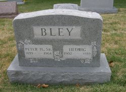 Peter H Bley Sr.
