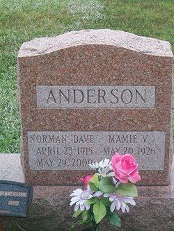 Norman L. Dave Anderson 