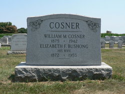 Elizabeth F “Lizzie” <I>Bushong</I> Cosner 