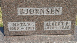 Albert E. Bjornsen 