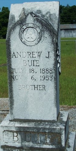 Andrew J Buie 