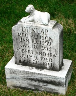 Meg Allison Dunlap 