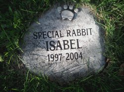 Isabel the Pet Rabbit 